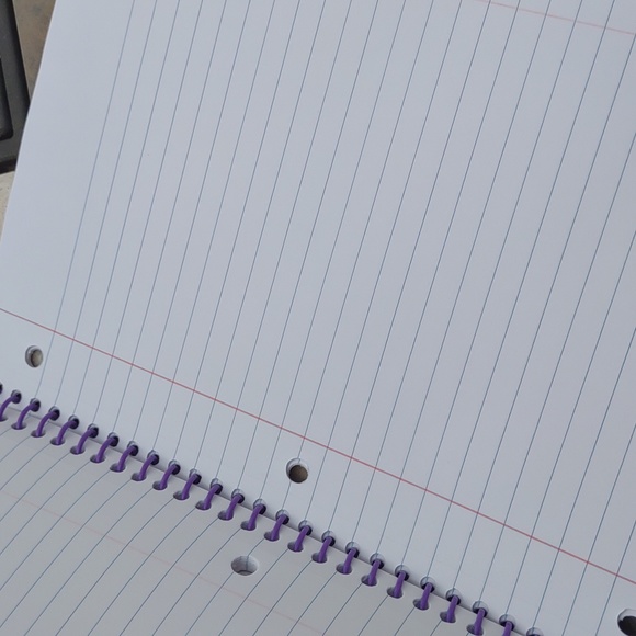 HTF New  Lisa Frank Spiral School 1 Subject Notebook - Picture 4 of 6